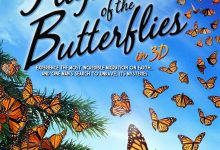 帝王蝶的迁徙 Flight of the Butterflies (2012)