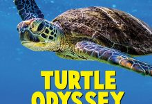龟女士的奥德赛 Turtle Odyssey (2018)