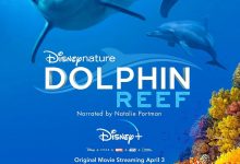 海豚礁 Dolphin Reef (2020)