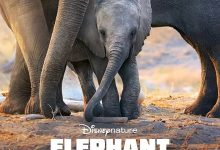 大象 Elephant (2020)