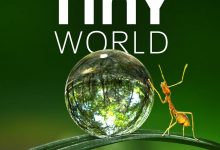小小世界 第一季 Tiny World Season 1 (2020)