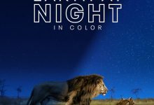 夜色中的地球 第一季 Earth at Night in Color Season 1 (2020)
