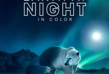 夜色中的地球 第二季 Earth at Night in Color Season 2 (2021)