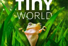 小小世界 第二季 Tiny World Season 2 (2021)