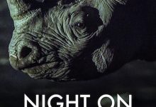 地球的夜晚 Night on Earth (2020)