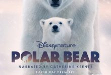 北极熊 Polar Bear (2022)