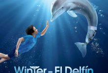 海豚的故事 Dolphin Tale (2011)