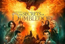 神奇动物：邓布利多之谜 Fantastic Beasts: The Secrets of Dumbledore (2022)