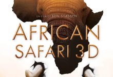 狂野非洲 African Safari (2013)
