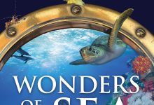 奇妙的海洋 Wonders of the Sea 3D (2017)