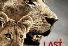最后的狮子 The Last Lions (2011)