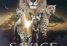 野蛮王国 第三季 Savage Kingdom Season 3 (2019)