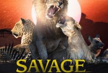 野蛮王国 第四季 Savage Kingdom Season 4 (2020)