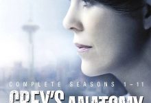 实习医生格蕾 第十一季 Grey’s Anatomy Season 11 (2014)