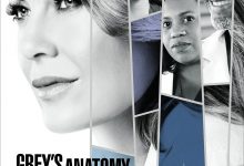 实习医生格蕾 第十四季 Grey’s Anatomy Season 14 (2017)