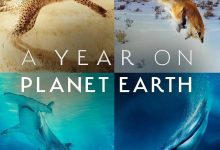 地球上的一年 A Year on Planet Earth (2022)