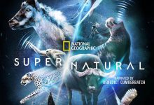 超凡动物奇观 Super/Natural (2022)