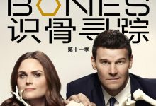 识骨寻踪 第十一季 Bones Season 11 (2015)